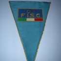 F.I.S.G